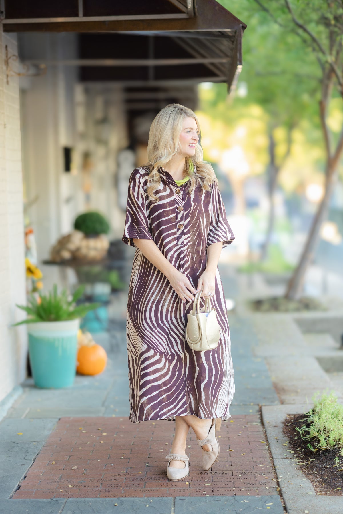 Brown Silk Zebra Maxi