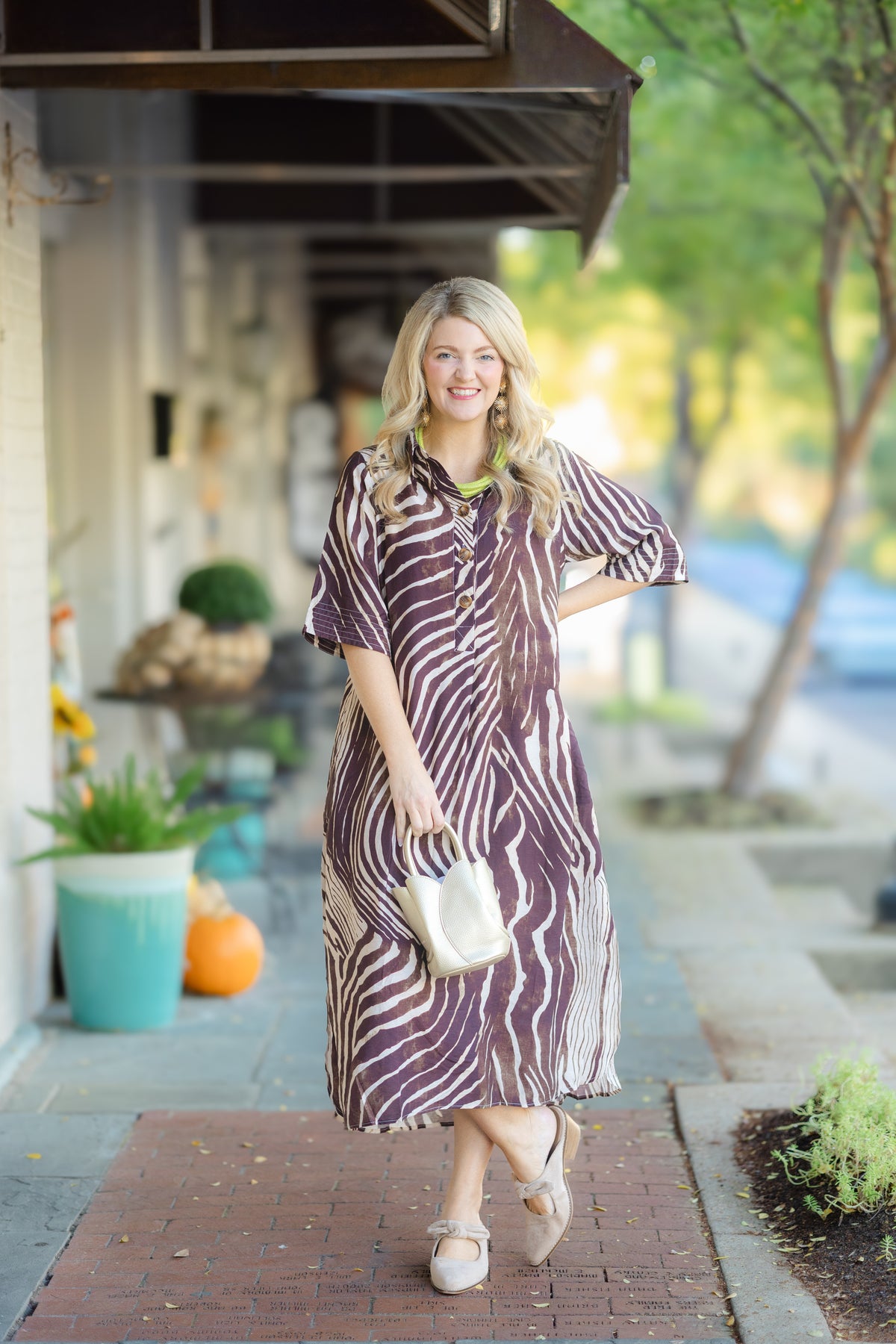 Brown Silk Zebra Maxi