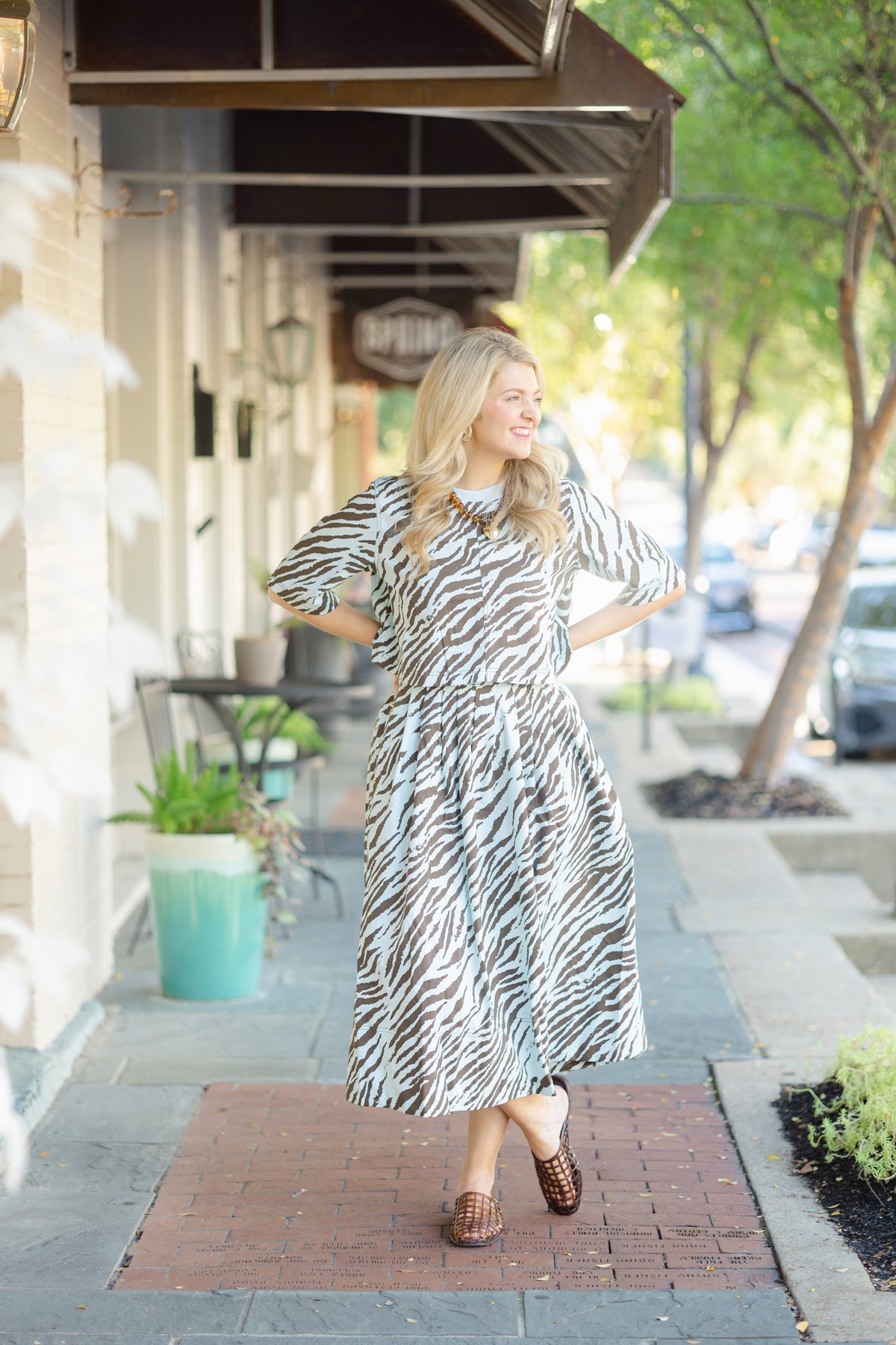 Light Blue and Brown Zebra 2 Piece Set