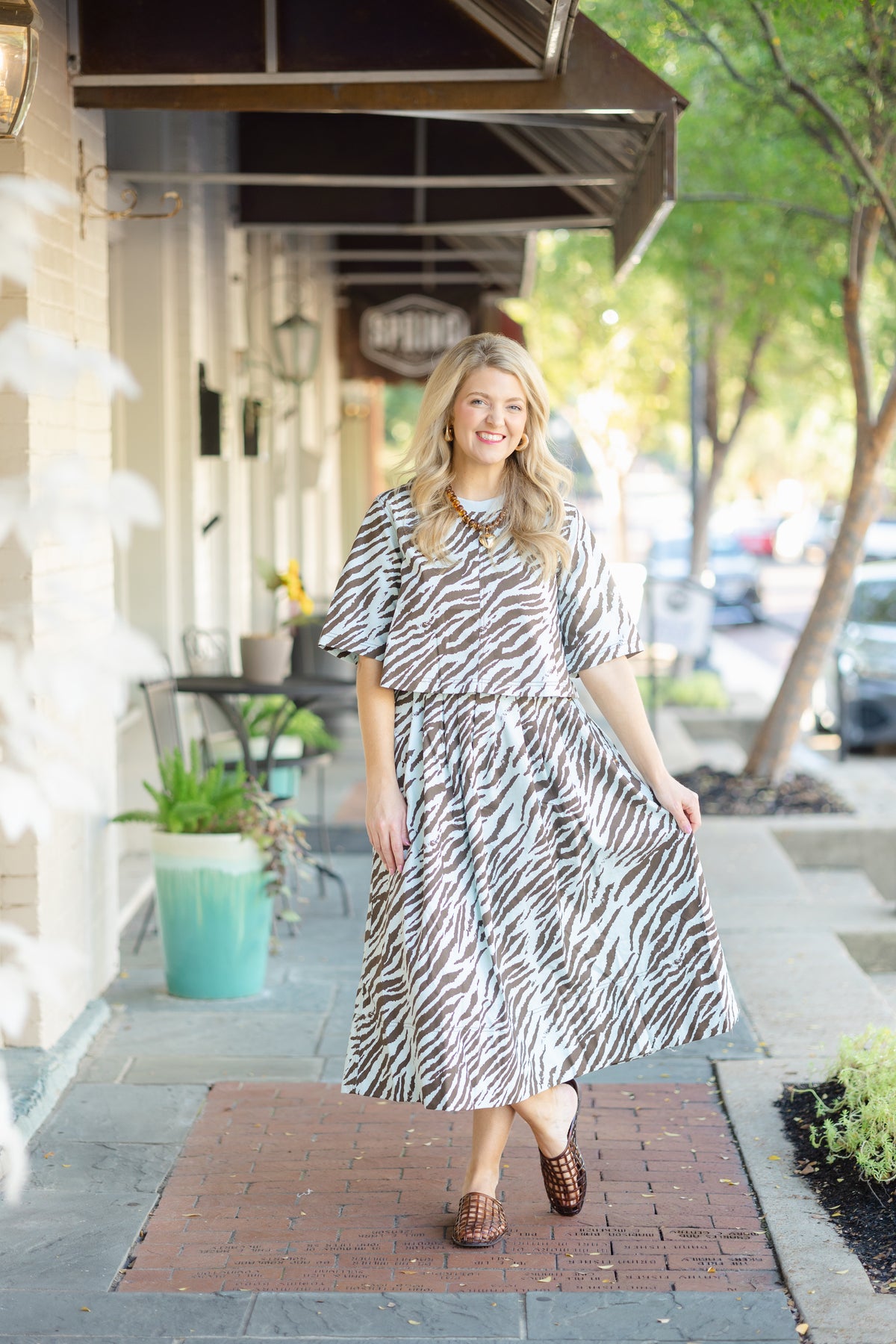 Light Blue and Brown Zebra 2 Piece Set