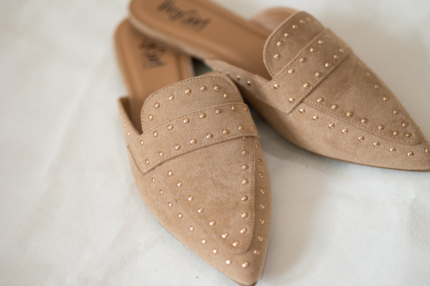 Corky’s mischief in Camel