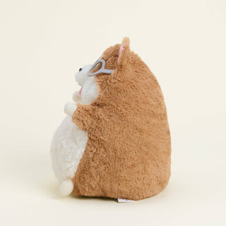 Corgi Warmies